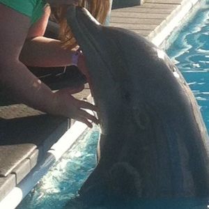 Meet your Posher, Kellie